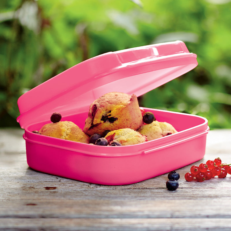 SLIM STORAGE CONTAINER 1.1L - FLAMINGO