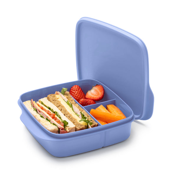 Lunch Box with Divider By Tupperware - Blueberry Mist colour ...