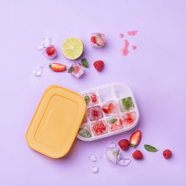 FREEZER MATES ICE CUBE TRAY