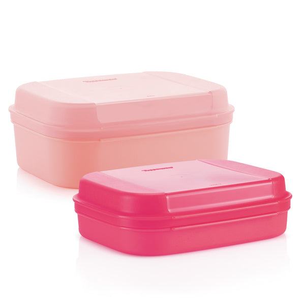 SLIM STORAGE SET of 2