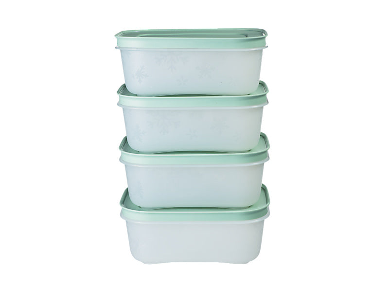 Freezable Container Set of 4