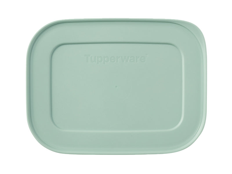 Freezable Container Set of 4