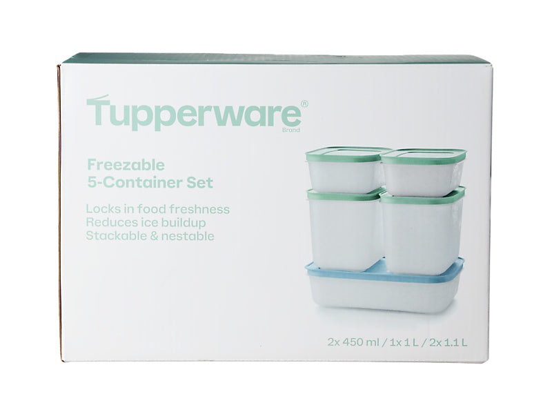 Freezable Container Set of 5