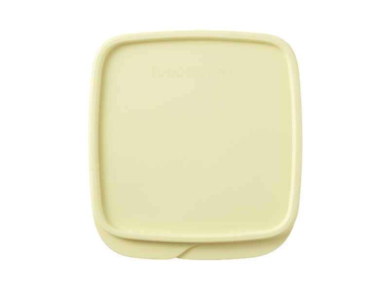Divided Square Lunch Box