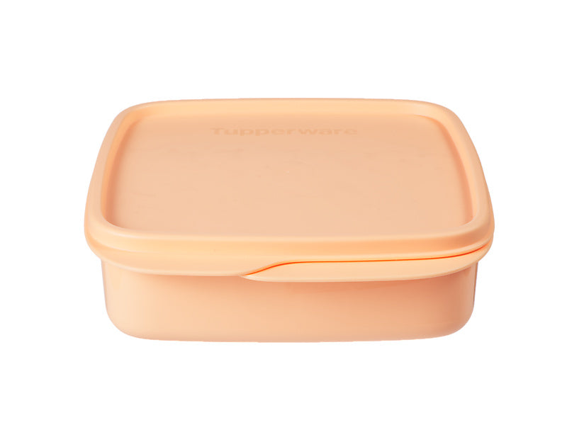 Divided Square Lunch Box