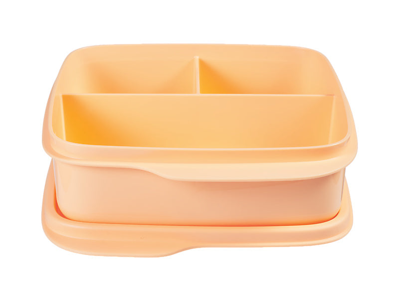 Divided Square Lunch Box