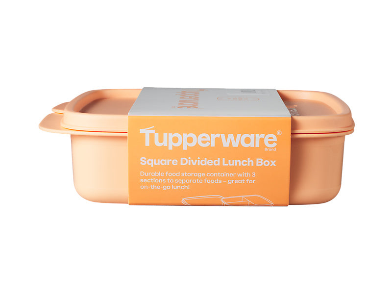 Divided Square Lunch Box
