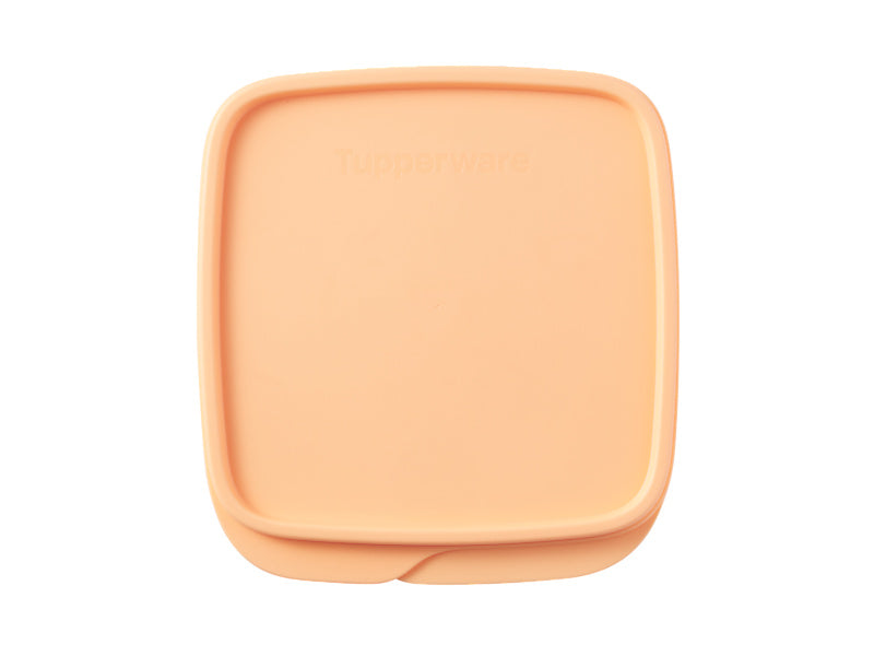 Divided Square Lunch Box
