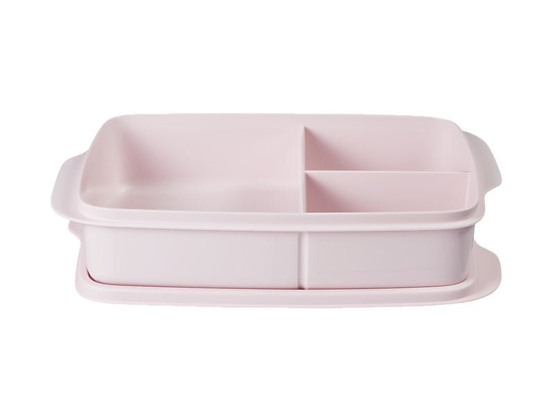 Divided Rectangle Lunch Box