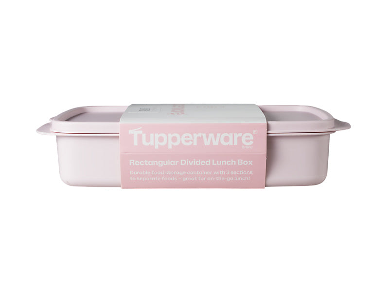 Divided Rectangle Lunch Box
