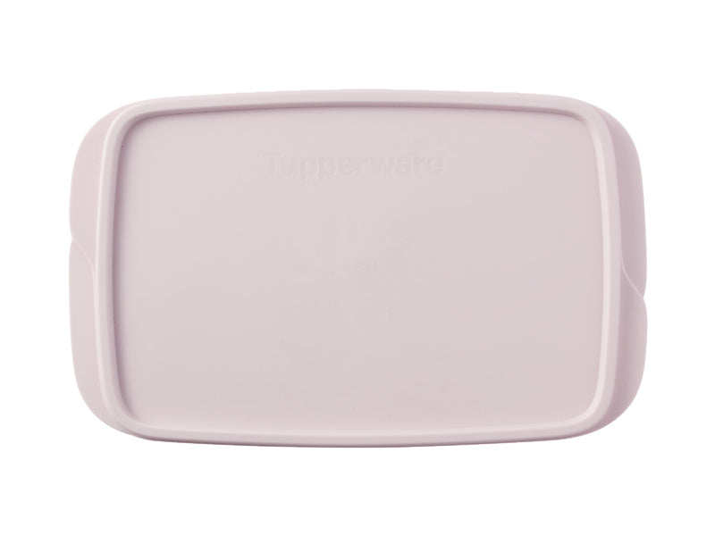 Divided Rectangle Lunch Box