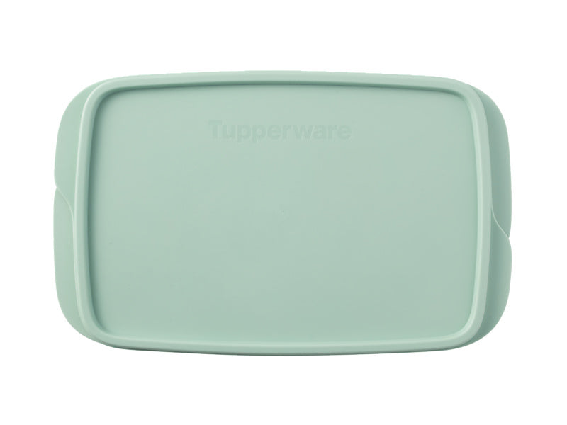 Divided Rectangle Lunch Box