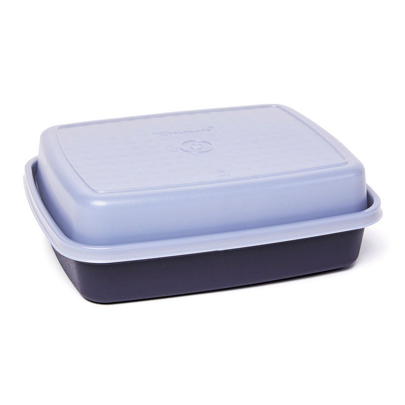 Tupperware Season- Serve Marinade Container Meat Tenderizer Teal Blue Lid  1295